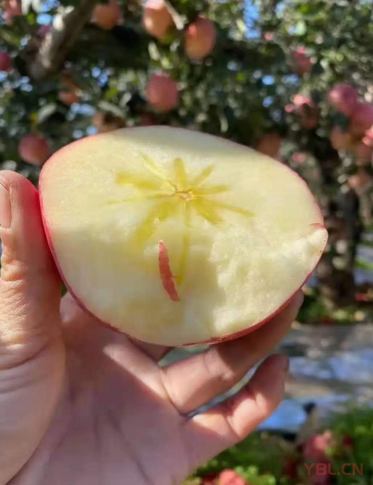 把自己立起來知是基本功，壓的住情緒才是真本事。